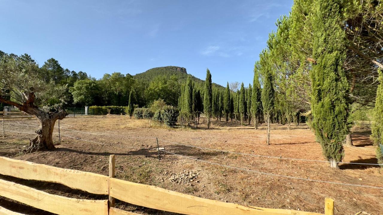 Superbe Roulotte De Charme Hotell Bagnols-en-Forêt Exteriör bild